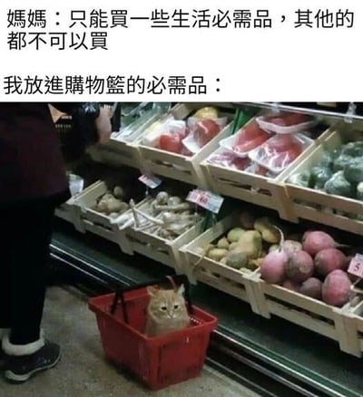 图片上方是两行对话文字，第一行是妈妈说“只能买一些生活必需品，其他的都不可以买”，第二行是“我放进购物篮的必需品：”。下方配图是超市生鲜区的场景，货架上摆放着土豆、萝卜、西红柿等蔬菜，一位穿着深色衣服的人站在货架旁，而地上的红色购物篮里坐着一只猫，形成强烈反差。通过将猫幽默地定义为“必需品”，调侃了人们对“必需品”定义的主观差异，充满生活趣味和搞笑效果。