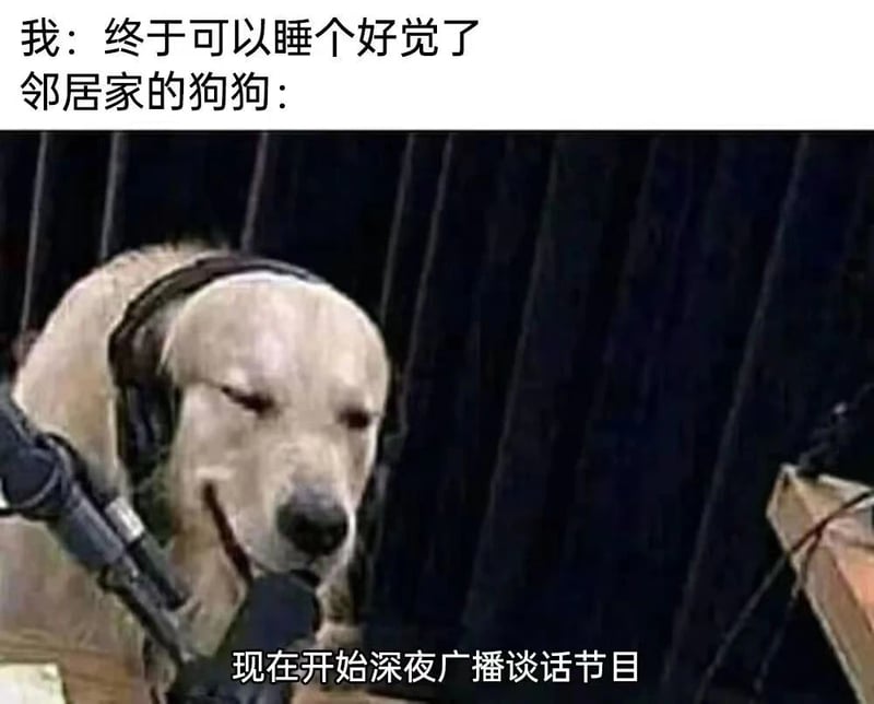 拟人化的深夜广播节目主播