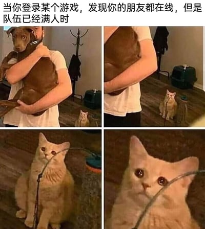 这是一张由四张照片拼接而成的连环梗图，顶部配有文字“当你登录某个游戏，发现你的朋友都在线，但是队伍已经满人时”。第一格画面中，一名穿着白T恤的人正抱着一只棕色的狗，画面右下角的地面上，一只被绳子拴着的浅橘色猫咪正落寞地坐着；第二格拉近了画面，猫咪的落寞姿态更加清晰；第三格是猫咪的近景，它眼眶泛红，眼神里满是委屈；第四格是猫咪的特写，它泪眼汪汪，可怜巴巴的模样，精准地还原了游戏玩家想和好友一起游玩，却因为队伍满员无法加入的委屈、失落与无奈，用动物的表情代入玩家的情绪，十分生动贴切。