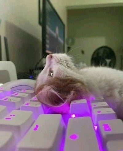 一只白色和橘色相间的猫咪舒适地躺在带有紫色背光的机械键盘上，头部后仰，眼睛微眯，似乎在仰望天花板。猫咪的耳朵自然垂下，胡须清晰可见，姿态十分放松惬意。背景中可以看到电脑显示器和房间环境，营造出一种温馨的居家氛围。这张照片完美捕捉了宠物与科技产品共存的可爱瞬间，展现了猫咪随性自在的生活态度。