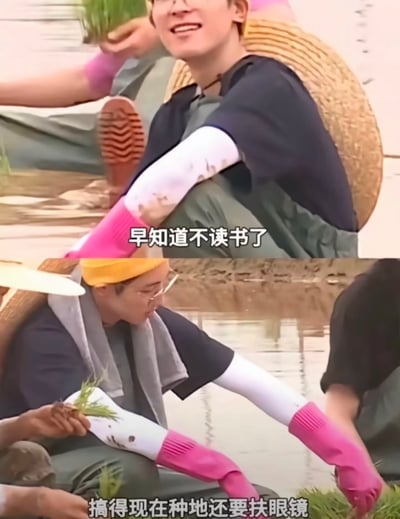 图片为上下对比的视频截图，展示了一位戴着草帽、穿着深色上衣和绿色裤子的人在稻田中插秧的场景。上图中人物面带微笑，手臂戴着粉色和白色的防晒袖套，沾有泥土，配文“早知道不读书了”；下图中人物弯腰专注于手中的秧苗，脖子上搭着毛巾，配文“搞得现在种地还要扶眼镜”。整体通过幽默的文字对比，表达了一种“读书后仍需从事体力劳动，反而多了戴眼镜的麻烦”的自嘲式搞笑情绪。