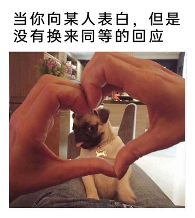 这是一张图文结合的搞笑表情包，上方配文“当你向某人表白，但是没有换来同等的回应”，画面中两只手比出爱心的形状，将中间的巴哥犬框在其中，这只戴着金项链的巴哥犬表情嫌弃，吐着舌头，完全没有回应这份心意的意思，生动又幽默地还原了自己满怀心意表白，却得不到对方同等回应的尴尬、失落又有点好笑的心情，用宠物的真实神态来类比被表白方的态度，很容易让有类似经历的人产生共鸣。