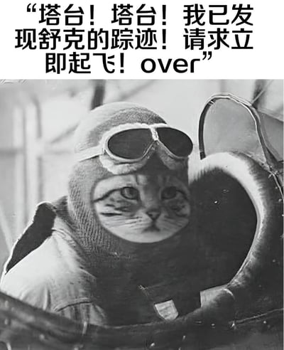 图片上方为黑色加粗文字：“塔台！塔台！我已发现舒克的踪迹！请求立即起飞！over”，下方是黑白照片，内容为一只戴着复古飞行头盔和护目镜的猫咪，正坐在类似飞机驾驶舱的位置，眼神专注前方。整体通过猫咪扮演飞行员并使用航空通讯术语“塔台”“over”，结合中国经典儿童文学《舒克和贝塔》中舒克（开飞机的老鼠）的形象，制造出幽默的反差效果。