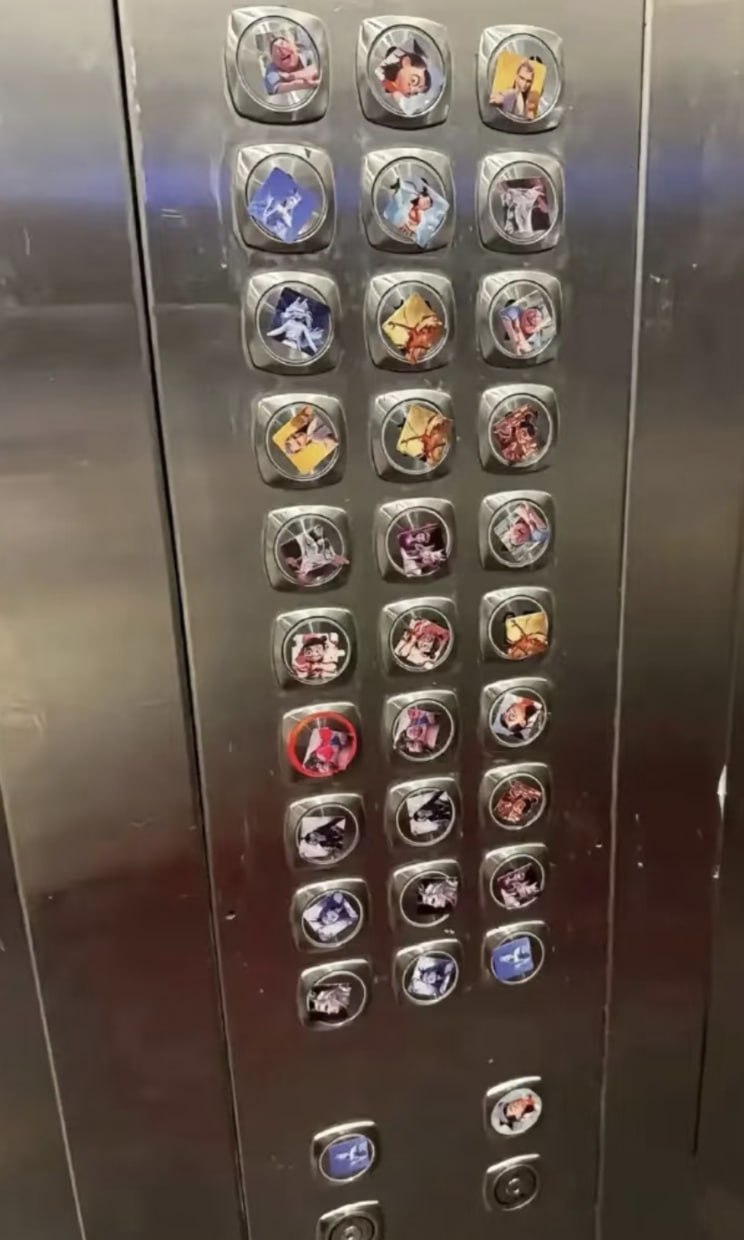 网络流行内容