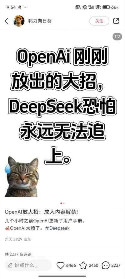 这是一张来自抖音平台的用户自制玩梗动态截图，博主以大号醒目文字抛出观点“OpenAi刚刚放出的大招，DeepSeek恐怕永远无法追上”，搭配一张闭眼流汗的猫咪表情包来强化调侃语气，下方正文揭晓这个“大招”是OpenAI更新用户手册解禁成人内容，并调侃OpenAI“太赖了”，借AI行业的热点事件制造戏谑的玩梗效果，整体风格轻松搞笑，用于在社交媒体上讨论AI圈热点。