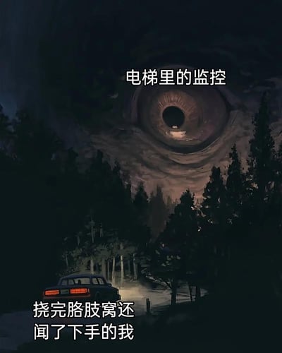 这是一张趣味梗图，采用风格化的暗黑插画画面，上方是占据画面的巨大眼球，配文“电梯里的监控”，将电梯监控拟人化为具有压迫感的凝视巨眼；下方是夜晚林间道路上行驶的汽车，配文“挠完胳肢窝还闻了下手的我”，用荒诞夸张的视觉对比，调侃人们在公共场合（电梯）里以为私密的小尴尬行为，实则被监控完整记录的社死瞬间，放大了这种私密行为被注视的窘迫感，引发网友对类似日常社死场景的共鸣。