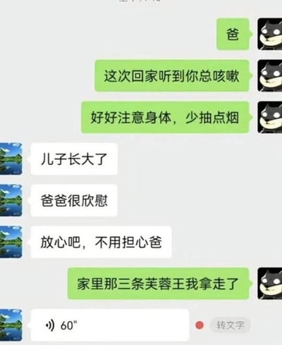 这是一张微信聊天记录截图，对话双方为父子：儿子先接连发消息关心父亲总咳嗽，叮嘱父亲少抽烟注意身体，父亲收到关心后十分欣慰，感慨儿子长大了，让儿子不用担心自己；结果儿子紧接着表示自己把家里的三条芙蓉王香烟拿走了，父亲随后直接发了一条60秒的语音，前后的强烈反差让内容充满搞笑效果，是常见的网络趣味梗图。
