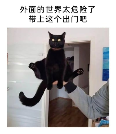 这是一张充满趣味的视觉错位梗图，画面中一只手托举着一只小黑猫，后方的大黑猫恰好与小黑猫的位置重合，形成了小黑猫拥有庞大身体的错觉，看起来像是一个极具安全感的“猫保镖”。图上方配文“外面的世界太危险了 带上这个出门吧”，用幽默的口吻将这个巧合的视觉效果调侃成可以用来“防身”的保镖，营造出滑稽搞笑的氛围，常被网友用来调侃出门的安全感，或是作为搞笑内容分享在社交平台上。