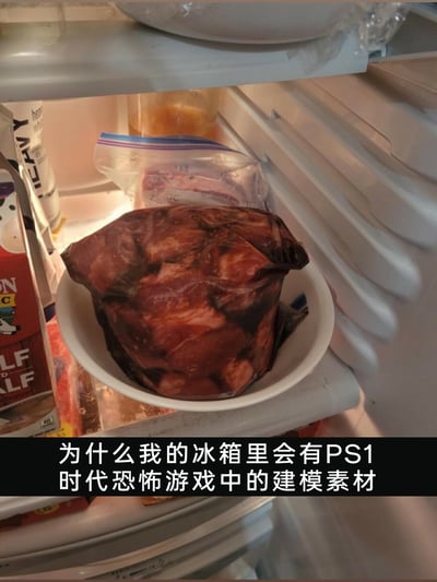 这是一张冰箱内部的实拍照片，画面中心的白色碗中放置着一块用深色包装包裹的生肉，这块肉的纹理与包装贴合后的形态，和PS1时代恐怖游戏里精度较低、充满诡异粗糙质感的建模高度相似。图片下方配有文字“为什么我的冰箱里会有PS1时代恐怖游戏中的建模素材”，以调侃的方式吐槽这块肉的奇特视觉效果。画面左侧能看到乳制品包装，后方还有密封袋存放的食材，整体是普通的家庭冰箱储物场景，却因这块肉的特殊视觉呈现，产生了日常与恐怖游戏梗结合的搞笑反差感。