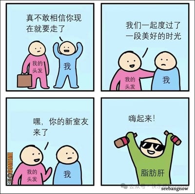 四格连环漫画，以拟人化手法展现脱发与健康问题的幽默对比。第一格：粉色衣服的“我的头发”提着行李箱，蓝色衣服的“我”举手惊呼“真不敢相信你现在就要走了”；第二格：“我的头发”拍着“我”的肩膀安慰道“我们一起度过了一段美好的时光”，“我”面露失落；第三格：“我的头发”对“我”说“嘿，你的新室友来了”；第四格：绿色衣服、戴墨镜的“脂肪肝”高举两瓶酒欢呼“嗨起来！”。通过头发“离家出走”与脂肪肝“成为新室友”的反差，调侃现代生活中的健康困扰。