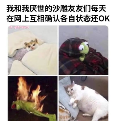 图片为四宫格多图拼接，上方配有主标题‘我和我厌世的沙雕友友们每天在网上互相确认各自状态还OK’。左上角是一只猫从白色被子里探出头，眼神慵懒疲惫，仿佛刚睡醒；右上角是科米蛙玩偶被格子毯子包裹，只露出两只大眼睛，表情呆滞厌世；左下角是科米蛙玩偶身上着火，眼神惊恐却无力反抗；右下角是一只胖猫趴在枕头上，四肢摊开，尽显颓废。四张图共同展现了‘厌世’又‘沙雕’的朋友们互相确认状态的幽默场景，用动物和玩偶的夸张表情自嘲日常生活中的疲惫与无奈。