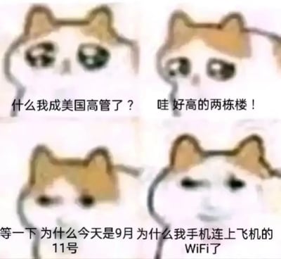 四格连环漫画，主角为一只卡通猫咪，每格表情和配文展现迷惑场景。第一格猫咪眼神困惑，配文“什么我成美国高管了？”；第二格仰头惊讶，配文“哇 好高的两栋楼！”；第三格表情凝重，配文“等一下 为什么今天是9月11号”；第四格面无表情，配文“为什么我手机连上飞机的WiFi了”。通过猫咪的视角串联起一系列看似不相关的迷惑事件。