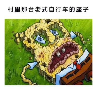这是一张搞笑网络梗图，图片顶部配有文字“村里那台老式自行车的座子”，图中主体是改编自《植物大战僵尸》的拟人化土面角色，该角色面部干裂破损、状态沧桑破旧，和长期使用后磨损开裂的老式自行车座子外观高度相似，通过这种形象的关联，以幽默的方式吐槽老式自行车座子的破旧程度，制造出荒诞搞笑的效果。