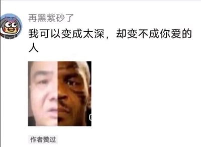 这是一张社交媒体动态截图，发布者用户名为“再黑紫砂了”，发布的文案为“我可以变成太深，却变不成你爱的人”，其中运用了谐音梗，“太深”谐音“太黑”。下方搭配一张左右拼接的人脸图片，左侧是肤色较浅的人物，右侧是肤色较深的黑人，视觉化地呼应了文案中“变成太深（黑）”的表述。整个内容将搞笑的谐音梗与伤感的自嘲情绪结合，表达了即便改变自身（这里指肤色变黑），也无法成为他人喜爱之人的无奈感，动态底部还有“作者赞过”的标识。