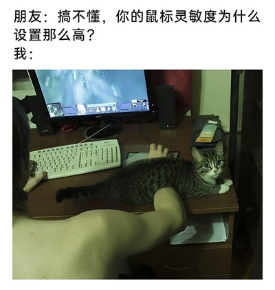 这是一张搞笑生活梗图，上方配文是朋友的疑问：“搞不懂，你的鼠标灵敏度为什么设置那么高？”，下方的实拍图给出了答案——一只狸花猫趴在书桌的鼠标操作区域，玩家只能从猫咪的身下伸出手臂去触碰鼠标，手部的活动范围被猫咪大幅限制，只能依靠设置高灵敏度的鼠标，来实现小范围移动就能完成光标或游戏视角的大幅变动。图片还利用视觉错位效果，让猫咪看起来像是趴在玩家的手臂上，进一步增强了画面的滑稽感，生动展现了养猫爱好者日常被猫咪干扰电子设备使用的无奈又好笑的处境。
