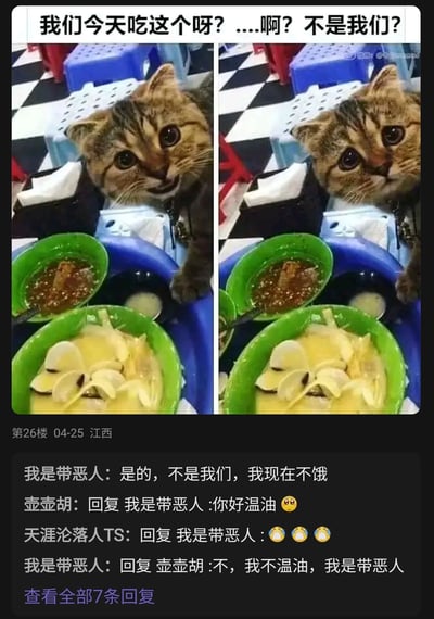 暂无描述