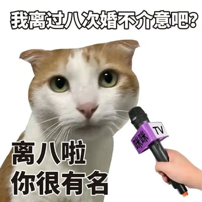 这是一张经过P图改编的搞笑表情包，画面呈现了拟人化的采访场景：一只白棕相间的猫咪面对带有“咪咪TV”标识的麦克风，上方配文“我离过八次婚不介意吧?”，下方配文“离八啦 你很有名”。创作者利用谐音梗，将“离过八次婚”简化调侃为“离八啦”，结合猫咪一本正经的表情，制造出反差感和幽默效果，用来以轻松的方式调侃多次离婚的感情状态。