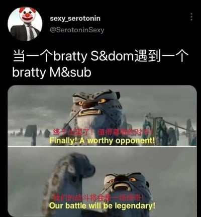 这是一张Twitter截图，用户sexy_serotonin发布了一张带有文字和电影截图的帖子。文字内容为"当一个bratty S&dom遇到一个bratty M&sub"，下方配有两张《功夫熊猫》中反派角色Tai Lung的截图。第一张截图中Tai Lung表情严肃，配文"终于出现了！值得尊敬的对手！Finally! A worthy opponent!"；第二张截图中Tai Lung摆出战斗姿态，配文"我们的战斗将会是一场传奇！Our battle will be legendary!"。图片通过将BDSM文化中的"bratty"（调皮反抗型）角色概念与电影中寻找对手的经典场景结合，创造出幽默效果，暗示两个同样具有反抗精神的BDSM角色相遇会产生激烈有趣的互动。