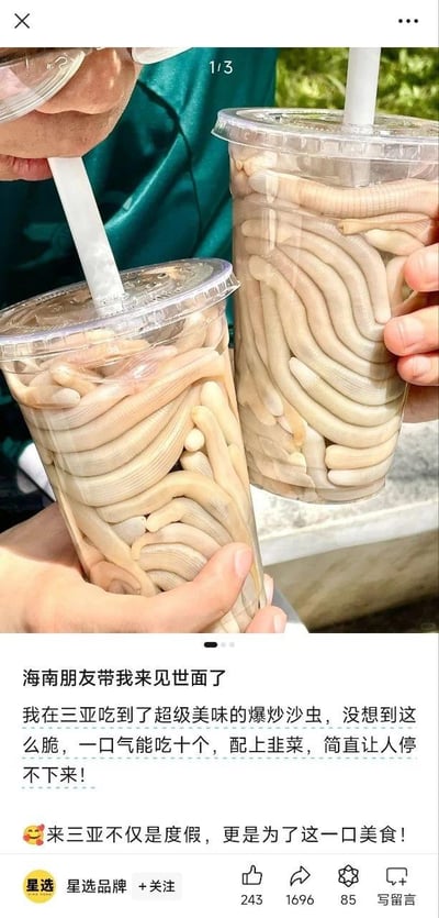 图片上方是两个透明奶茶杯，里面装满了沙虫，有人手持杯子，还有人用吸管对着杯子做出要喝的动作，制造出“喝沙虫饮品”的视觉反差；下方是微博的文案内容，发布者表示被海南朋友带着在三亚吃到了爆炒沙虫，意外觉得口感很脆，搭配韭菜十分美味，直呼来三亚度假就是为了这口特色美食。
无相关双关、谐音梗或暗示内容。