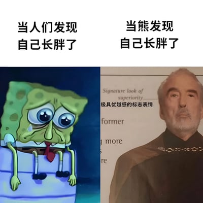 这是一张左右对比梗图，左侧上方文字为“当人们发现自己长胖了”，下方是卡通角色海绵宝宝，它双眼睁大含泪，嘴巴微张，表情悲伤地坐在物体上，显得十分沮丧；右侧上方文字为“当熊发现自己长胖了”，下方是一位留有胡须的男性，他表情严肃，眼神中带着一丝优越感，背景有“Signature look of superiority 极具优越感的标志表情”字样。通过对比展现了人们和熊（拟人化）发现自己长胖后的不同反应，形成幽默效果。