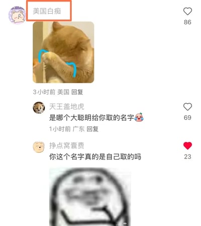 这是一张社交媒体评论区的截图，最上方定位为美国的用户“美国白痴”发布了一张猫咪用爪子捂脸的表情包，传递出尴尬、害羞的情绪；随后来自广东的用户“天王盖地虎”在1小时前评论调侃“是哪个大聪明给你取的名字”，该评论获得69个赞；用户“挣点窝囊费”评论“你这个名字真的是自己取的吗”，并附带一张模糊的搞怪歪头表情包，该评论获得23个赞且被点赞。整个评论区围绕这个极具反差感的奇葩用户名展开趣味调侃，充满轻松搞笑的互动氛围。