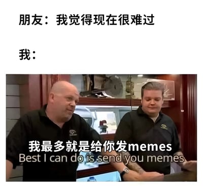 图片上方文字显示“朋友：我觉得现在很难过”，下方“我：”后接一张两人对话的照片，照片中两人穿着黑色衬衫，背景有木质柜子和工具，叠加文字“我最多就是给你发memes”及英文翻译“Best I can do is send you memes”。整体通过对比朋友的难过情绪和“我”只能发 memes 安慰的无奈回应，以幽默方式展现当代人用网络梗图应对情感支持场景的现象。