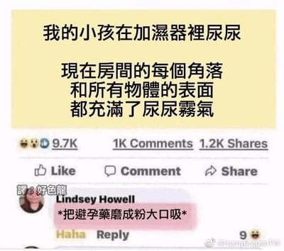 这是一张跨平台搬运的社交媒体截图，原帖推测来自Facebook，后由微博用户@homydragonTW分享并加注翻译。截图中，一位匿名用户发帖吐槽自家小孩的调皮行为：小孩在加湿器里尿尿，导致整个房间的角落和物体表面都弥漫着尿液形成的雾气，帖子获得了9.7K互动、1K条评论和1.2K次分享。评论区用户Lindsey Howell留下了一条荒诞搞笑的玩梗评论：“*把避孕药磨成粉大口吸*”，用夸张的方式调侃吸入尿液雾气可能带来的“意外”风险，以避孕药制造笑点，下方标注的“譯:好色龍”是对这条英文评论的中文翻译，方便中文用户理解笑点。