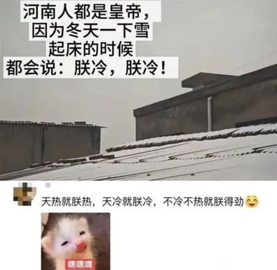 这是一张拼接式搞笑图文梗图，整体分为上下两部分：上半部分背景为冬季下雪后的居民区屋顶雪景，配了一段利用河南方言玩的谐音梗笑话，内容为“河南人都是皇帝，因为冬天一下雪起床的时候都会说： 朕冷，朕冷！”，利用河南方言里“我冷”的发音和“朕冷”相近玩谐音梗；下半部分是社交媒体的用户评论区，网友顺着这个谐音梗补充创作了内容“天热就朕热，天冷就朕冷，不冷不热就朕得劲”，还搭配了一个眯眼坏笑的小猫表情包，小猫表情包下方标注文字“嘿嘿嘿”，整体是趣味玩梗的搞笑内容。