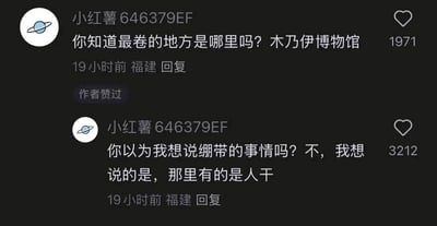 这是一张来自小红书平台的单条社交媒体截图，展示了用户“小红薯646379EF”发布的两条连续评论。第一条评论以提问的形式引出话题：“你知道最卷的地方是哪里吗？木乃伊博物馆”，该评论获得了1971个点赞，发布于19小时前，IP地址显示为福建，且得到了原作者的点赞。第二条评论紧接着揭晓答案，玩了一个谐音梗：“你以为我想说绷带的事情吗？不，我想说的是，那里有的是人干”，这里的“人干”谐音“人卷”，利用木乃伊是干尸的特性，巧妙地调侃当下的职场内卷现象，这条评论获得了3212个点赞，发布时间和IP地址与第一条一致。整个内容用幽默的谐音梗来表达对职场内卷的吐槽，符合社交平台上年轻人的创作风格。