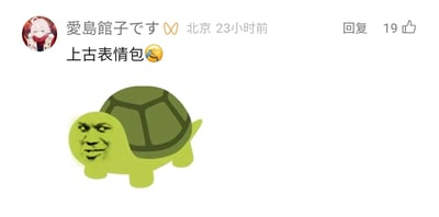 这是一张社交媒体评论区的截图，发布者昵称是‘愛島館子です’，发布地点标注为北京，发布时间为23小时前，该评论获得了19个点赞。发布者的评论内容为‘上古表情包🤣’，并附带了一张经过二次创作的表情包：将网络上流行的歪嘴戏谑的真人梗图人脸，替换到了绿色卡通乌龟的头部位置，形成了反差感强烈的搞笑效果。这类被称为‘上古表情包’的内容，通常是早期网络社区中流行的魔改类表情，多用于评论区调侃、玩梗，传递滑稽戏谑的情绪。