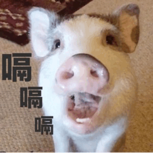 小猪打嗝表情包：嗝嗝嗝停不下来