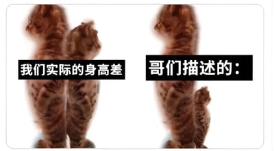 图片分为左右两部分，左侧展示两只体型相近的橘猫并排站立，上方配有文字“我们实际的身高差”；右侧则是一只体型明显高大的橘猫和一只体型小巧的橘猫并排，上方文字为“哥们描述的：”。通过猫咪体型的夸张对比，幽默地表现了现实中的身高差与朋友描述中被夸大的身高差之间的反差，充满调侃和趣味性。