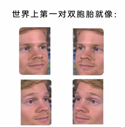 这是一张充满脑洞的搞笑梗图，顶部配有文字“世界上第一对双胞胎就像：”，下方由四张经过编辑的男性面部图片组成。其中两张为同一人脸的左右翻转图，另外两张是调整了面部细节和角度的同一张脸，通过图片翻转和视觉错位的效果，营造出四张图中的人物既高度相似又存在细微差别的“双胞胎”假象，以此幽默地调侃双胞胎之间那种看起来几乎一模一样，但又总能找到细微不同的特点，用荒诞的视觉创意来表达对双胞胎特征的趣味解读。