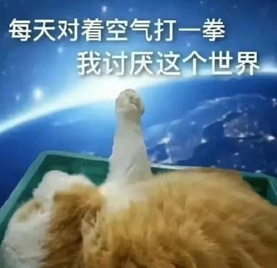 一只橘白相间的猫咪仰卧在绿色容器中，一只爪子向上举起，仿佛在对着空气挥拳。图片背景被创意性地替换成了从太空视角拍摄的地球夜景，搭配白色文字“每天对着空气打一拳 我讨厌这个世界”，形成强烈的反差萌效果。猫咪慵懒的姿态与文字表达的愤世情绪形成幽默对比，是典型的用可爱动物形象承载负面情绪的网络迷因。