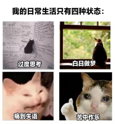这张梗图用四张猫咪表情图片幽默地展示了现代人日常生活的四种经典状态：过度思考、白日做梦、痛到失语、苦中作乐。结合猫咪独特的表情和姿态，传达了一种丧萌结合、自嘲又无奈的情绪，非常贴合当下青年对生活压力与自我调侃的网络表达。猫的可爱与搞怪形象让人共鸣强烈。

其中“痛到失语”和“苦中作乐”属于猫表情包的经典素材，有明显的网络热梗气质，整体容易引发网友共鸣和二创。

无明显双关或谐音梗。