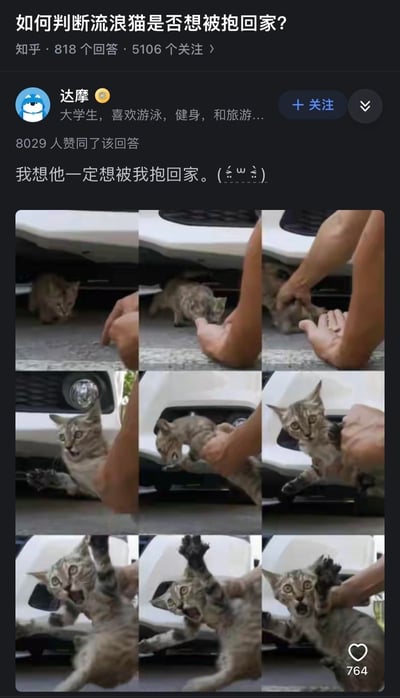 知乎问答页面截图，问题为“如何判断流浪猫是否想被抱回家？”。用户“达摩”以幽默文案“我想他一定想被我抱回家。(≧∇≦)ﾉ”回应，下方九宫格实拍图记录了流浪猫从汽车底部被试图抱起的全过程：猫咪从最初躲在车底，到被触碰时挥爪、张嘴哈气、身体后缩，展现出明显的抗拒姿态，形成文案与画面的搞笑反差萌。