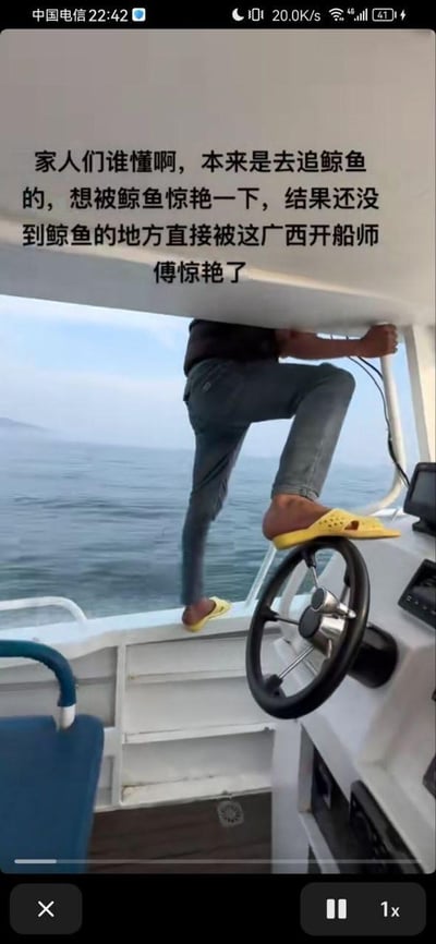 这是一段竖屏短视频的截图，画面展现了在一艘行驶在海面上的船只驾驶舱内，一位穿着黄色拖鞋的广西开船师傅做出了极具反差感的操作：他一只脚踩在船的方向盘上，另一只脚踩在船舷边缘，一只手抓着船舱顶部，以一种非常夸张的姿势操控船只。图上方的配文写道“家人们谁懂啊，本来是去追鲸鱼的，想被鲸鱼惊艳一下，结果还没到鲸鱼的地方直接被这广西开船师傅惊艳了”，原本出海追鲸的期待被开船师傅的神操作打破，充满了搞笑和意外的氛围，这种非常规的开船方式让人感到新奇又惊讶。