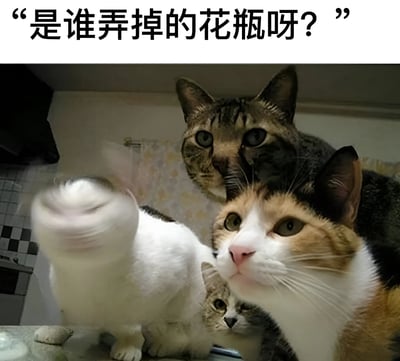 图片展示了一个室内场景，几只猫咪聚集在一起。画面上方有文字“是谁弄掉的花瓶呀？”，营造出主人质问的情境。其中一只白猫脸部模糊，似乎在快速转头回避；一只三花猫抬头看向上方，表情显得无辜又疑惑；还有一只虎斑猫在后方，眼神严肃地注视着前方，仿佛在审视情况。整体场景通过猫咪们不同的反应和上方的提问文字，构成了一幅幽默的宠物搞笑画面，像是在演绎“谁打碎了花瓶”的经典家庭情景。