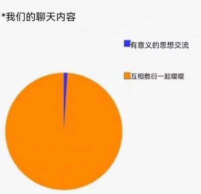 这是一张幽默风格的饼图梗图，标题为“*我们的聊天内容”。图中用两种颜色区分聊天内容类型：蓝色代表“有意义的思想交流”，橙色代表“互相敷衍一起嘤嘤”。视觉上，蓝色部分仅占极小的细窄切片，而橙色部分几乎占据了整个圆形，夸张地表现出日常聊天中“敷衍式互动”远多于“深度思想交流”的有趣现象，充满自嘲和调侃意味。