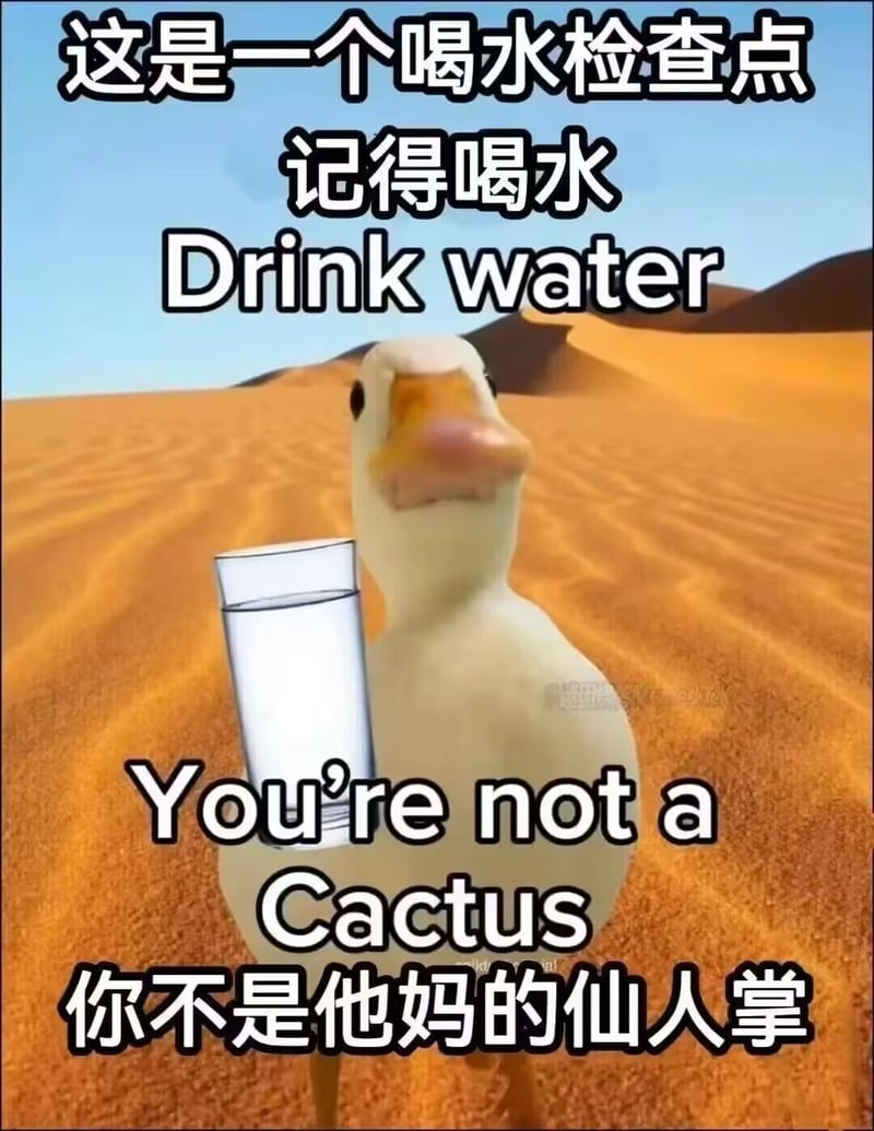 鸭子