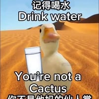 鸭子