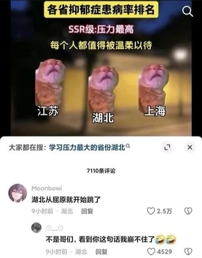 这是一张社交媒体内容截图，上半部分为网友制作的调侃梗图，以“各省抑郁症患病率排名”为主题，标注SSR级为压力最高，还附上了“每个人都值得被温柔以待”的文字，用三个表情无奈抬头的橘猫表情包分别对应江苏、湖北、上海三地，调侃这三个地区的人群生活、学习等压力偏大。截图下方是该内容的评论区，高赞第一条评论是IP属地为湖北的用户发布的“湖北从屈原就开始跳了”，玩了屈原是湖北历史人物、最终投江的历史典故，调侃湖北地区压力大的情况由来已久，该评论获得2.5万点赞，下方另有同为湖北IP的网友回复，表示看到这条评论忍不住发笑，搭配两个笑哭表情，获得4500余点赞。