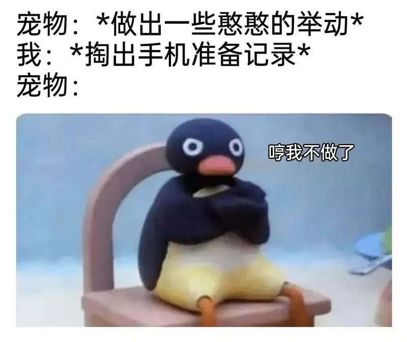 Pingu