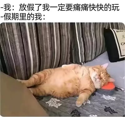 这是一张图文混排的搞笑梗图，顶部配有两行文字，第一行是“-我：放假了我一定要痛痛快快的玩”，第二行是“-假期里的我：”，下方配图是一只橘色猫咪四仰八叉仰躺在铺有花纹床品的沙发上，头枕着小物件闭眼熟睡，整只猫瘫软着完全不想动，用猫咪的状态生动调侃了很多人放假前立下要痛快游玩的flag，实际假期里只会瘫着不动的真实反差状态，很有共鸣感。
