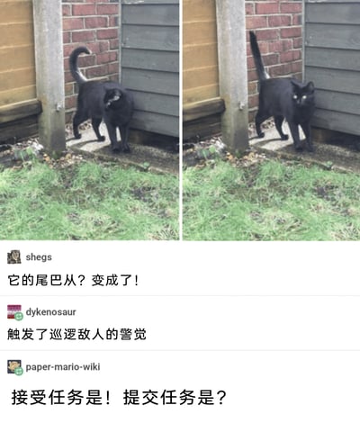 这是一张源自海外社交平台的趣味梗图，采用左右对比的图文混排形式呈现。左侧图中，一只黑猫站在砖墙与木板墙的墙角处，尾巴弯曲成问号的形状，表情看起来有些疑惑；右侧图中，同一只黑猫的尾巴变成了笔直的感叹号形状，身体姿态紧绷，表情警觉地直视镜头。下方配有三条用户评论，第一条用户“shegs”直接点出黑猫尾巴从问号变为感叹号的核心变化；第二条用户“dykenosaur”将黑猫的状态类比为游戏中“触发了巡逻敌人的警觉”，玩起了游戏梗；第三条用户“paper-mario-wiki”进一步结合游戏任务的设定，调侃“接受任务是！提交任务是？”，把尾巴的形状和游戏任务的流程对应起来，让整个梗图充满了搞笑的游戏氛围。
