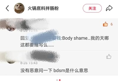 社交媒体截图展示了用户“火锅底料拌肠粉”的评论区互动。一条评论提问“没有恶意问一下 bdsm是什么意思”，另一条回复则针对“Body shame”的缩写表示惊讶：“Body shame...我的天哪 这都要缩写么......”，反映了网络交流中对特定术语缩写的疑惑与讨论。
