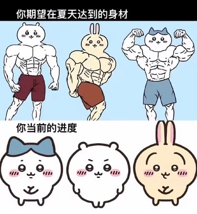 这是一张上下对比结构的搞笑梗图，上半部分呈现了网友对夏天健身后的身材期望，将吉伊、乌萨奇、小八三个chiikawa热门卡通角色的头部拼接在肌肉发达、线条分明的健美运动员身体上，视觉效果夸张；下半部分则展示了健身的实际进度，是三个角色原本圆滚滚、软乎乎的Q版原始形象，通过极具反差的画面调侃了大众在夏日健身减肥时理想丰满、现实骨感的普遍状态，趣味性很强。