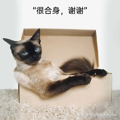 这张图片展示了一只暹罗猫慵懒地躺在一个略显狭小的纸箱内，搭配上方配文“很合身，谢谢”。猫的神态自信又带点高冷，给人一种在小空间中自得其乐、自信满满的反差萌感。图片通过拟人化的配文，营造出了“刚好满足自己需求”的幽默氛围，常用来调侃人在面对有限条件时的自信回应。

双关语：“合身”既指猫和箱子的大小完美契合，也有试衣服合身的常用说法，制造幽默效果。