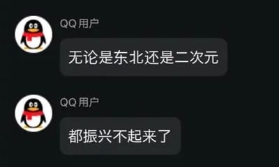 图片展示了一段QQ聊天记录，两名“QQ用户”依次发送消息。第一条消息为“无论是东北还是二次元”，第二条消息为“都振兴不起来了”，整体呈现出一种对东北振兴和二次元文化发展的调侃与无奈情绪。