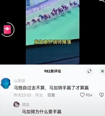 这是一张短视频平台的评论区截图，上方是赛马比赛的视频片段，配文“发生意外骑师掉落”，展示比赛中骑师意外掉落的场景。下方评论区中，用户「山田凉」评论“马独自过去不算，马加骑手赢了才算赢”，用户「鴻悲.」则玩起谐音梗，将“骑手”拆分为“骑”和“手”，回复“马加骑为什么要手赢”，误解原评论意思制造出搞笑效果。